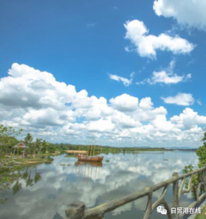 海南5村3镇入选全国乡村旅游重点村镇 - 第1张 - 自贸港在线 海南5村3镇入选全国乡村旅游重点村镇 - 第1张