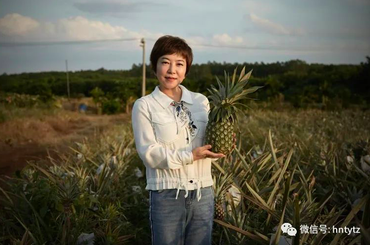 【新时代·巡礼】凝聚统一战线人才力量 投身自贸港发展机遇 - 第1张 - 自贸港在线 【新时代·巡礼】凝聚统一战线人才力量 投身自贸港发展机遇 - 第1张
