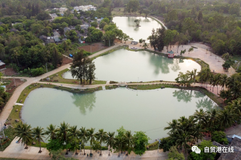 海南水院:绘就水网蓝图 建功海南自贸港 - 第2张 - 自贸港在线 海南水院:绘就水网蓝图 建功海南自贸港 - 第2张
