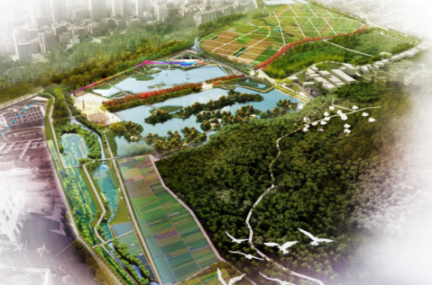 儋州藤根河湿地公园初具规模 将成为白马井新地标 - 第3张 - 自贸港在线 儋州藤根河湿地公园初具规模 将成为白马井新地标 - 第3张