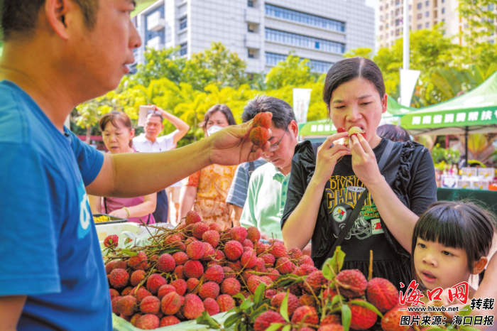 海口经济圈加强农产品产销对接，推动市县优势互补、资源共享 - 第1张