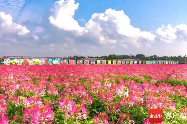 海南4个A级旅游景区等级被取消或降低 - 第2张