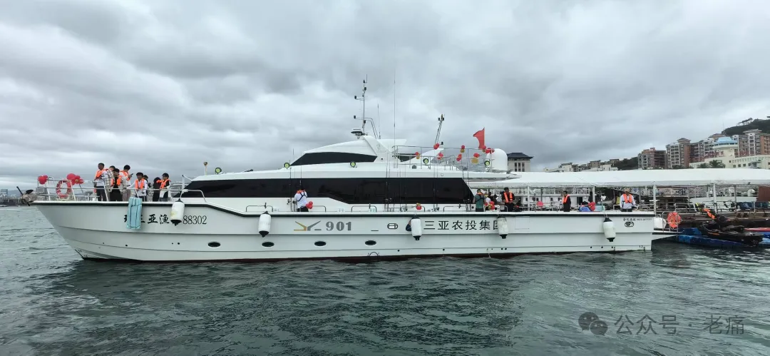 何不发展琼州海峡旅游，让我们开心过海？ - 第4张