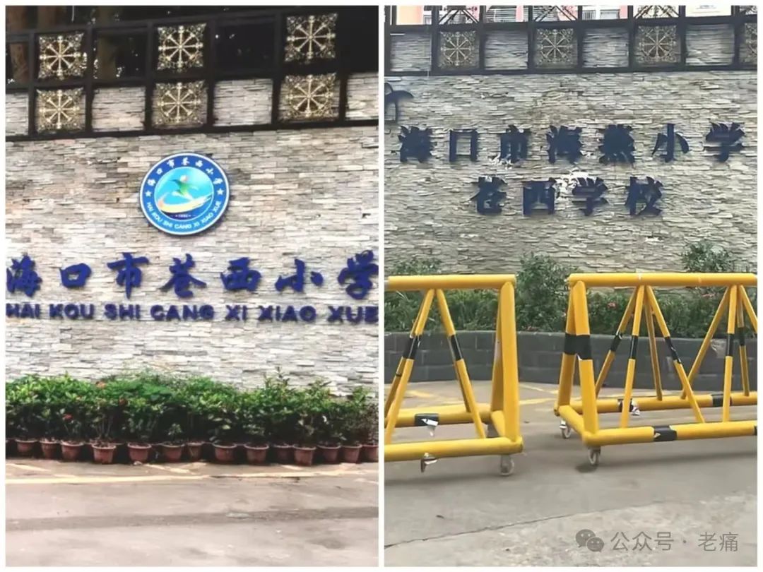 海口中小学纷纷“挂靠”名校,效果会好吗? - 第1张 - 自贸港在线 海口中小学纷纷“挂靠”名校,效果会好吗? - 第1张