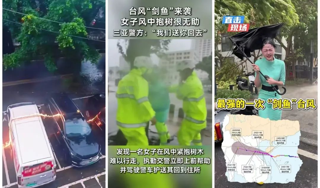 三亚遭剑鱼重创,抗台风水平太低? - 第4张 - 自贸港在线 三亚遭剑鱼重创,抗台风水平太低? - 第4张