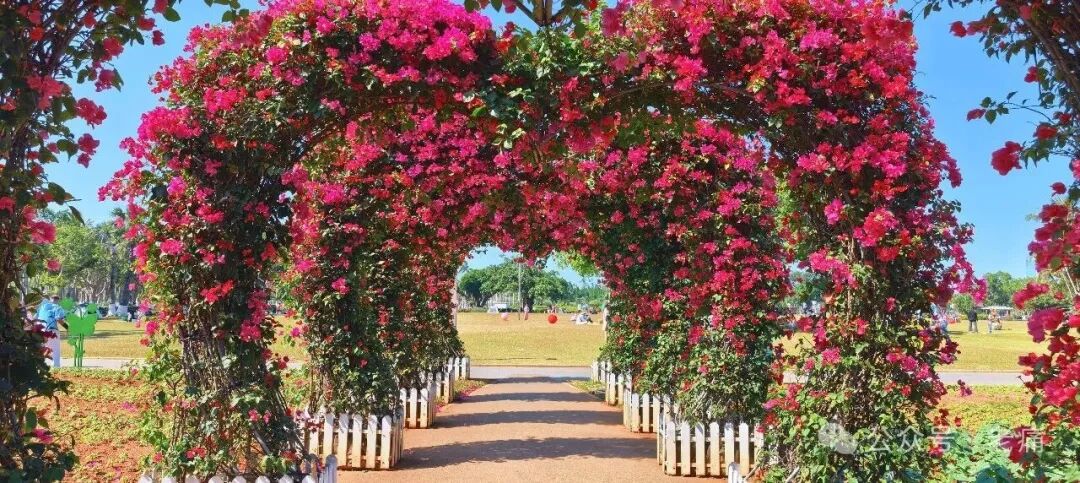 海口万绿园的神来之笔 - 第3张 - 自贸港在线 海口万绿园的神来之笔 - 第3张