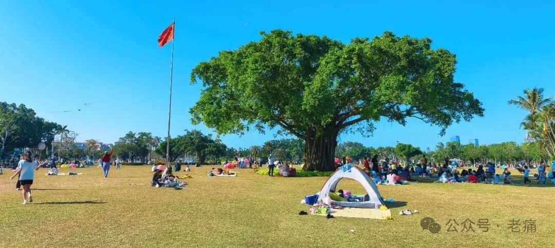 海口万绿园的神来之笔 - 第1张 - 自贸港在线 海口万绿园的神来之笔 - 第1张
