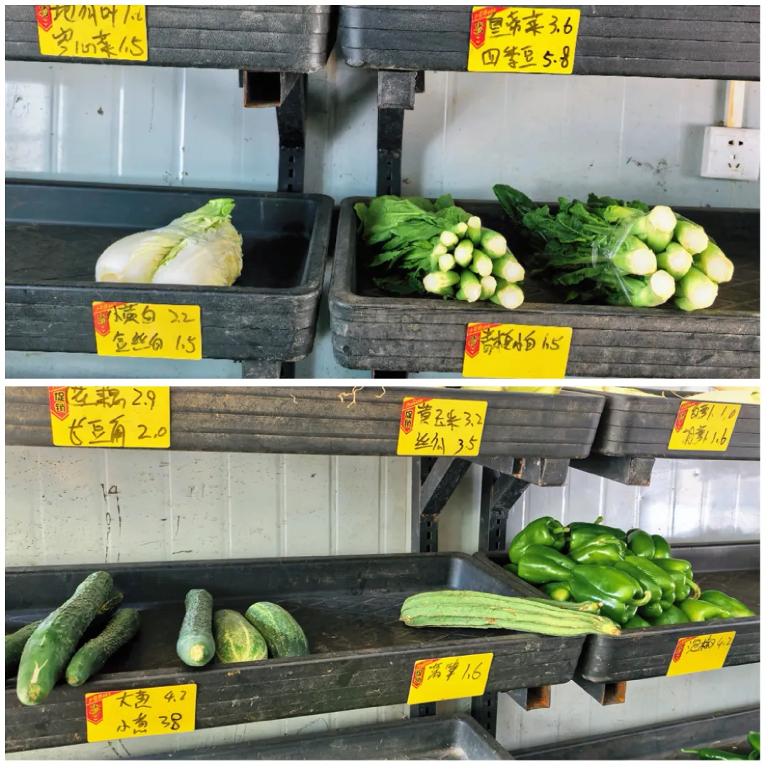 海口菜篮子集团成立十周年，其表现如何？ - 第7张