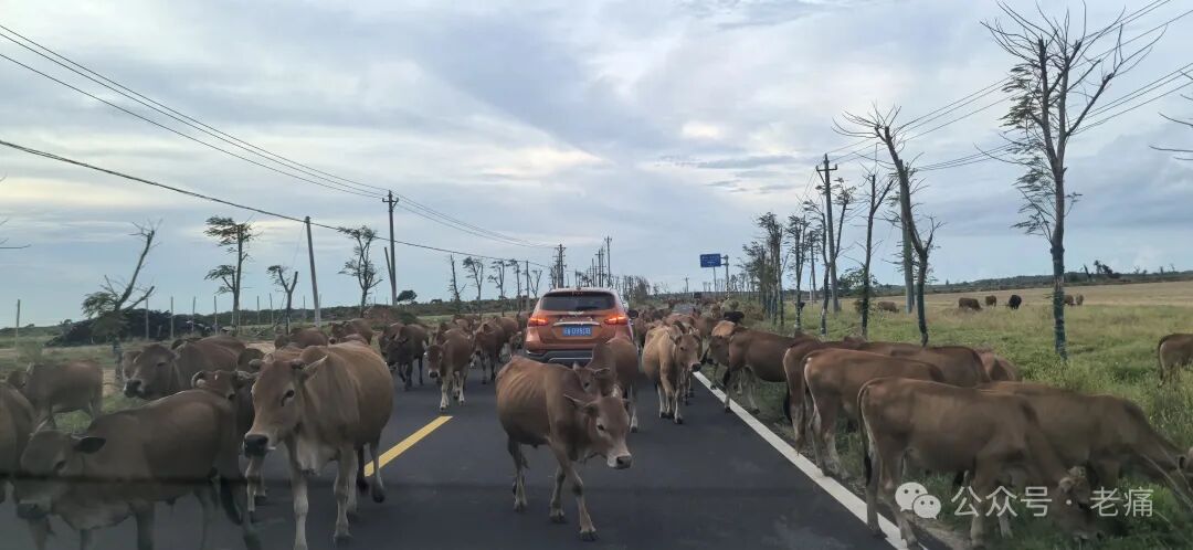 “凶险”的木兰湾，多留点空间给未来吧 - 第4张