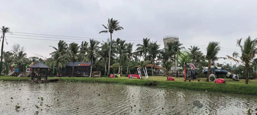 海口芳园国际艺术村，不仅仅缺游客 - 第4张