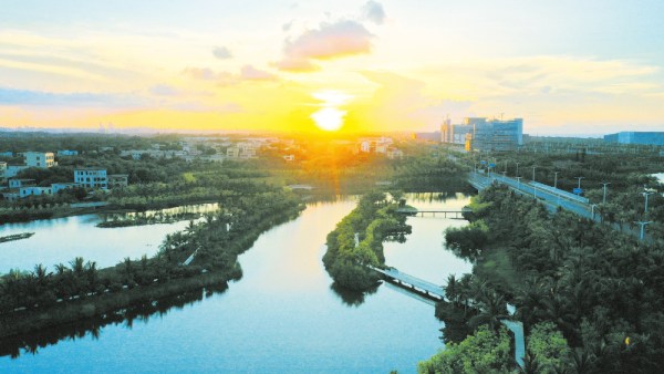 海口扎实推进生态文明建设，打造人与自然和谐共生图景