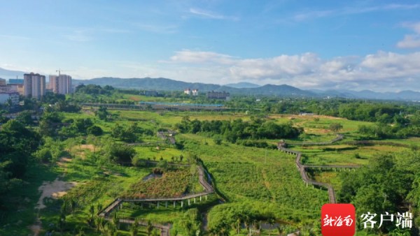 又添一处打卡地！海南将新添一座公园