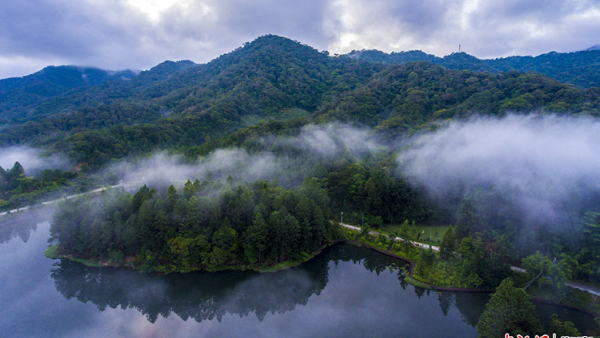 海南热带雨林国家公园GEP核算项目通过专家验收