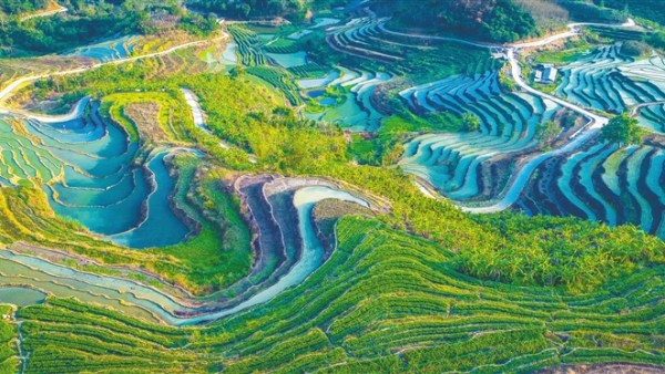 沈晓明：把海南打造成为中医药走向世界的重要窗口
