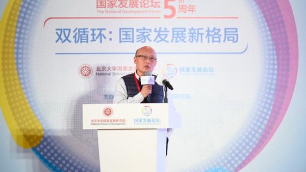 杜平：香港的金融海南搞不了，海南发展应对标台湾