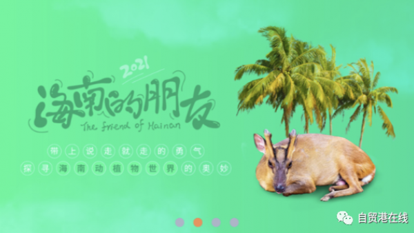 海南官方旅游平台只推民宿，传统酒店全无