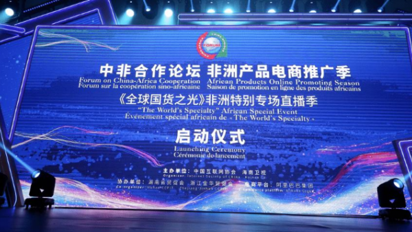 第四届中非地方政府合作论坛分论坛在海南举行