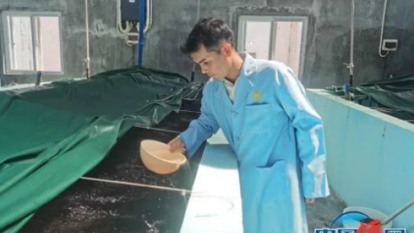 侨界正能量 泰国侨企落地侨乡文昌 做大虾苗保种育种产业