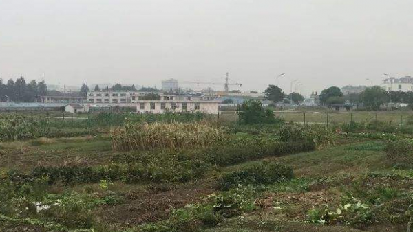 海口进一步规范闲置土地认定工作 这种情况将被征缴闲置费