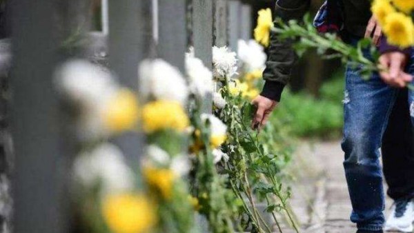 海口发布清明节祭扫公告 3月16日至4月5日现场扫墓请预约