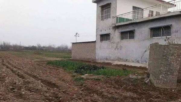 海南：部门联动遏制农村乱占耕地建房