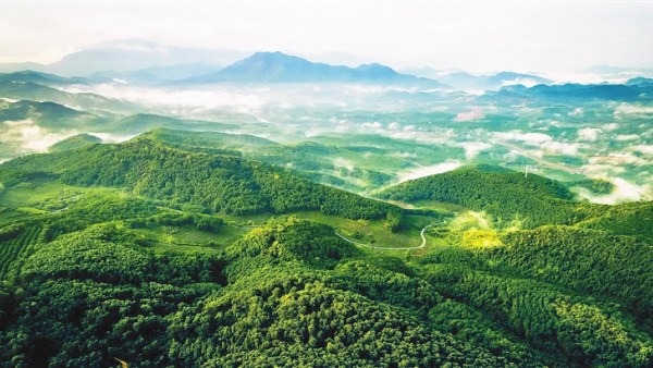白沙与中国农科院茶叶研究所合作 推进白沙茶产业高质量发展