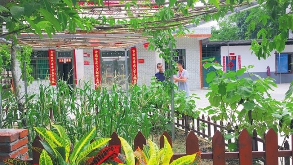 海南省鼓励引导农村地区高质量发展庭院经济