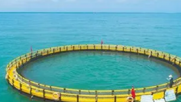 海南出台11条用海保障措施助推海洋渔业高质量发展