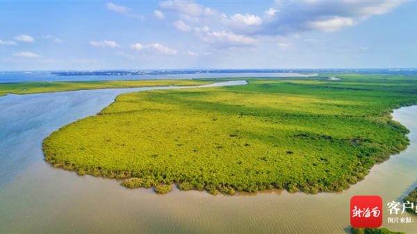 关注第27个世界湿地日｜海南：共护湿地 共享“湿”情画意