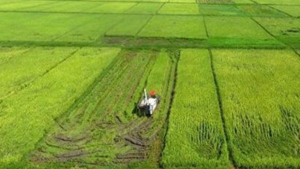 海南已完成早稻播种面积96万余亩 大力推动全程机械化种植