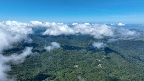 海南全面推行用地用林用海联合审批 加速项目落地