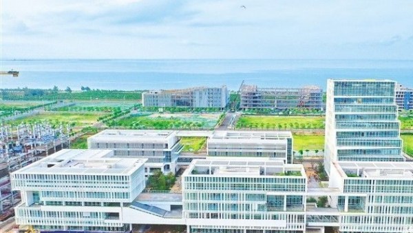 服务全球粮商 海南国际粮食交易中心揭牌