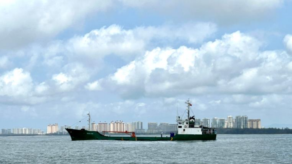 起航！100万尾金鲳鱼鱼苗从海南“游”向海外