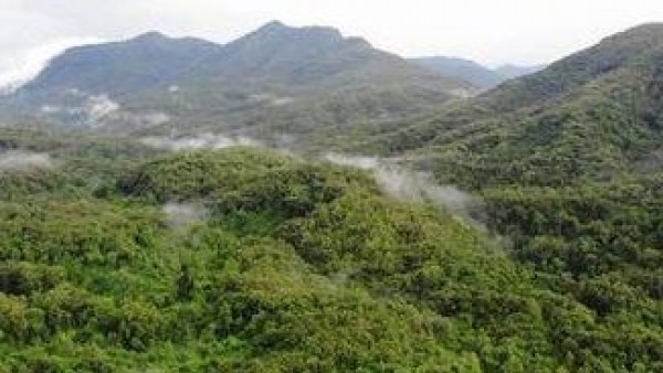 海南热带雨林国家公园拟入选国家首批林业科普基地