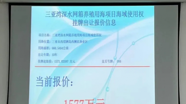 全省首宗经土地超市出让海域使用权以1577万元在三亚成交