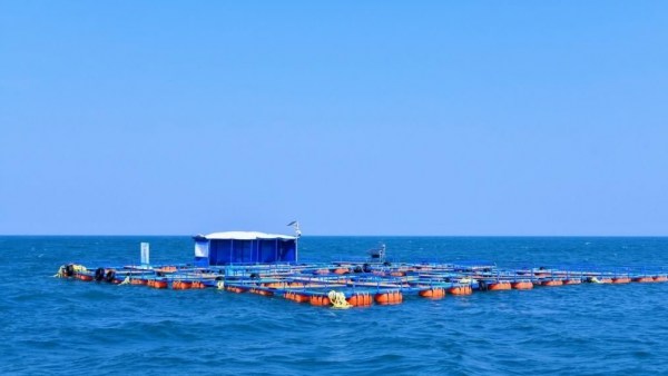 我国最大海水提铀海试平台在昌江海域亮相