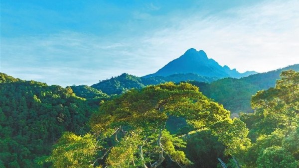 海南晒出2022年生态环境“成绩单”：生态环境质量保持全国领先水平