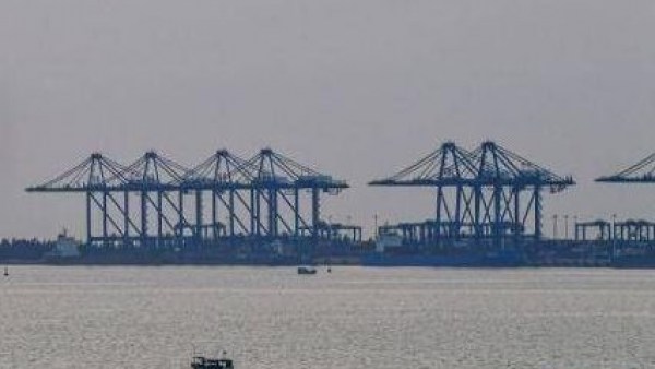 洋浦港扩建工程耗资1700余万元为珊瑚“搬家”