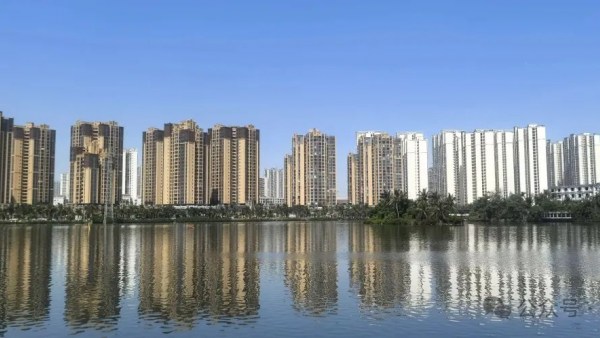 业委会的“困难”和“乱象”，以及“职业物闹”