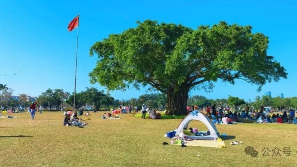 海口万绿园的神来之笔