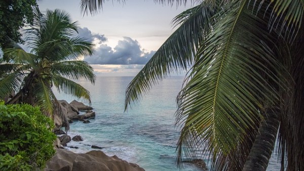 订单增长近1000%！海南中秋国庆旅游进入预订高峰